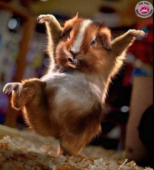 wuaaaaaa