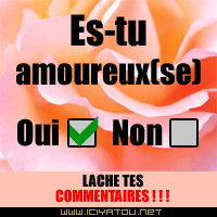 es tu amoureux(se)